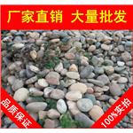 天然鹅卵石，广州花基砌边鹅卵石批