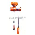 250公斤电动葫芦