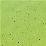 苹果绿  Apple Green