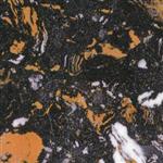 黑金花  Black Golden Flower