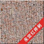 永定红荔枝