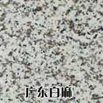 广东白麻