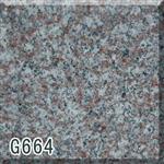 G664