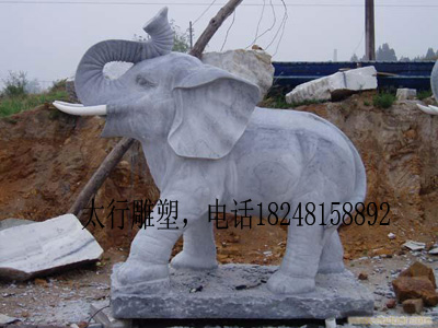 供应银川石雕大象，银川石雕大象制