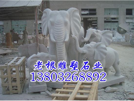 供应老根石雕  雕刻石雕  园林大象  石雕大象  雕刻大象   汉白玉大象  老根石雕欢迎您