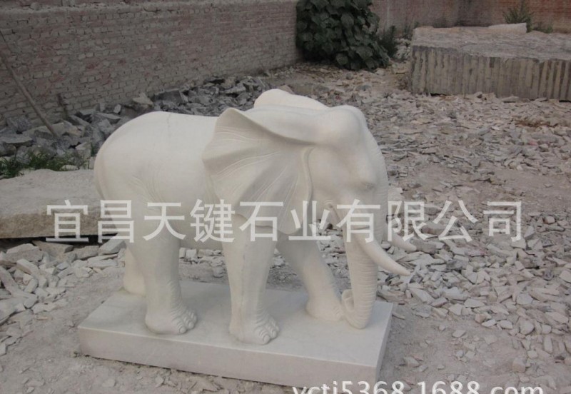 供应汉白玉石雕大象，园林大象石雕