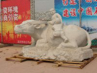 供应各种品牌各种型号石雕马，汉白玉大象，石雕牛图片