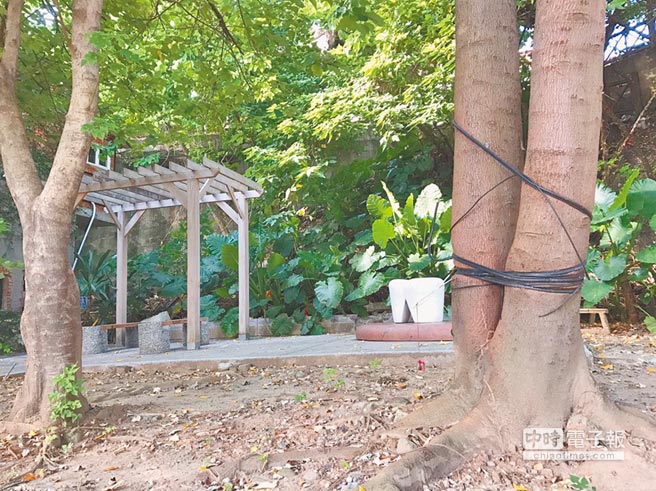 石雕如废墟 被讥设后不理 石雕如废墟 被讥设后不理