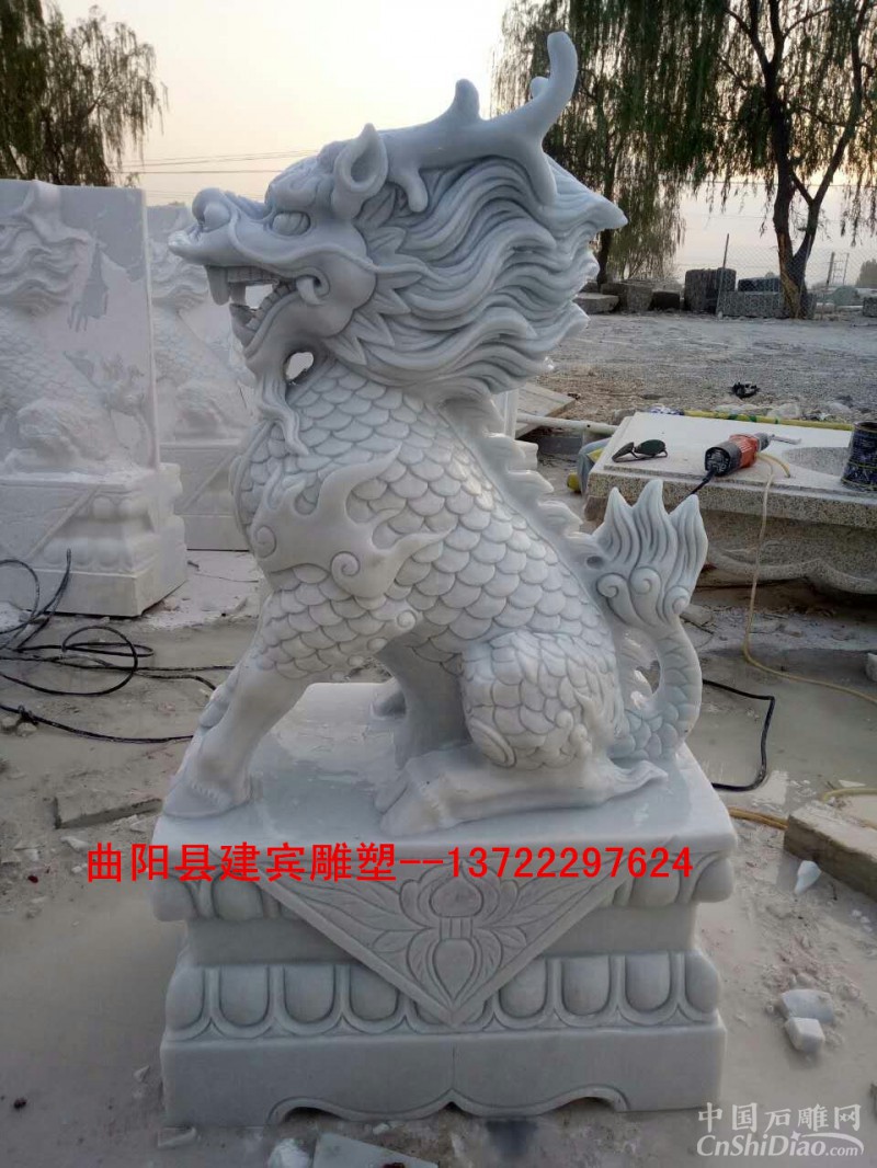 mmexport1495103680683_副本
