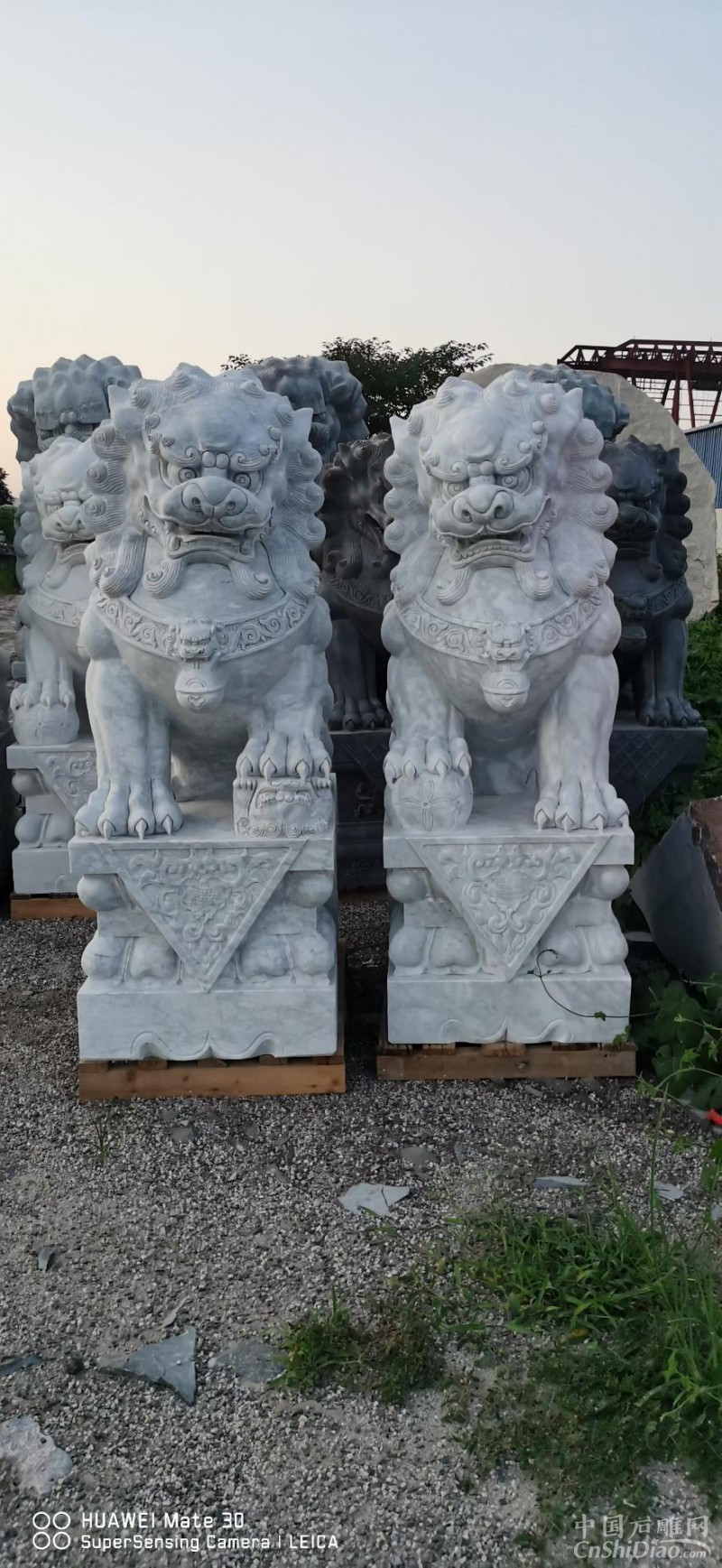 石雕狮子