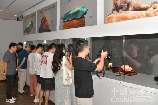 &ldquo;一抹新绿&rdquo;昆仑印石雕刻艺术作品展在榕启幕170